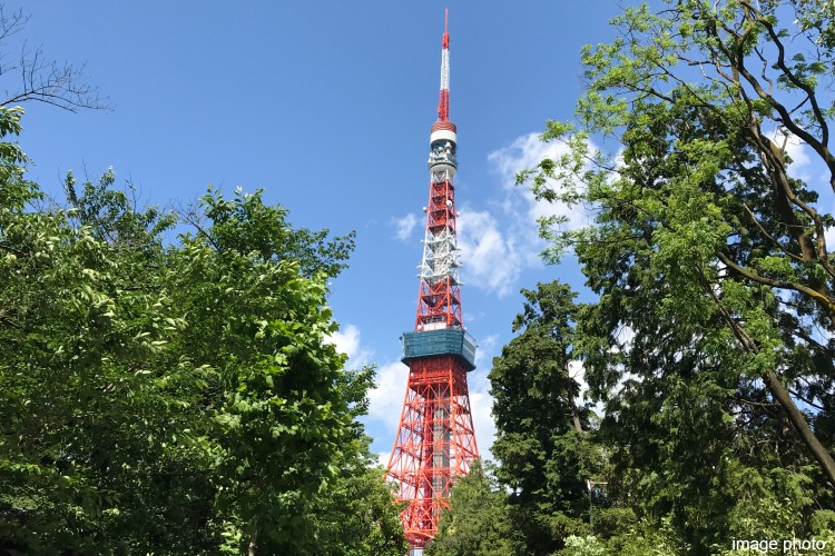 東京タワー｜麻布台パークハウス